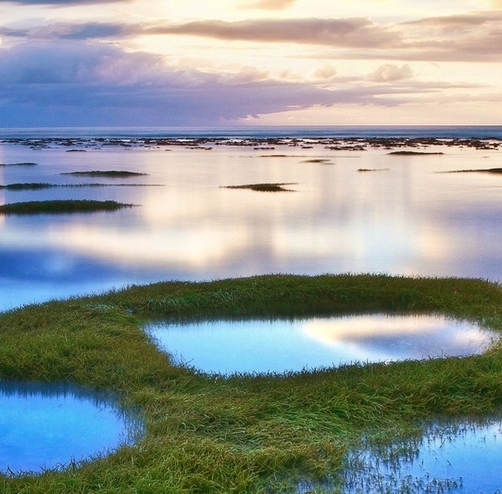 金华选择粉象生活市场前景