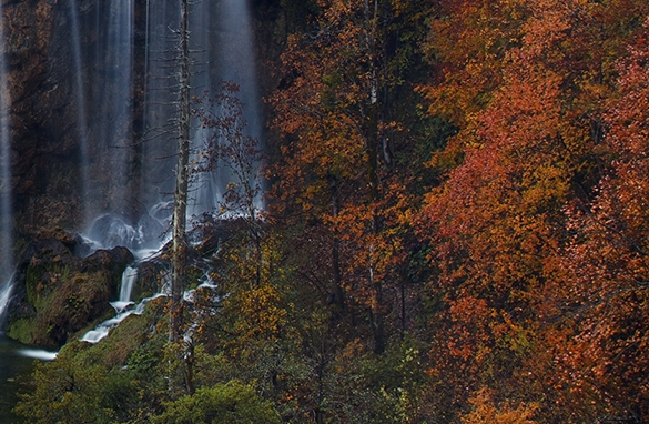 粉象生活怎么快速推广