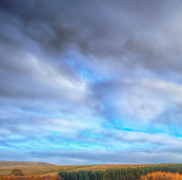粉象生活为什么要升级vip