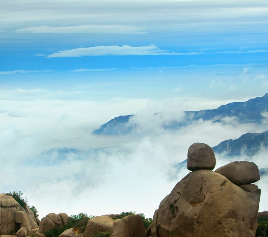 粉象生活APP怎么赚钱