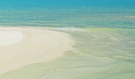 怎样才能加入到粉象生活