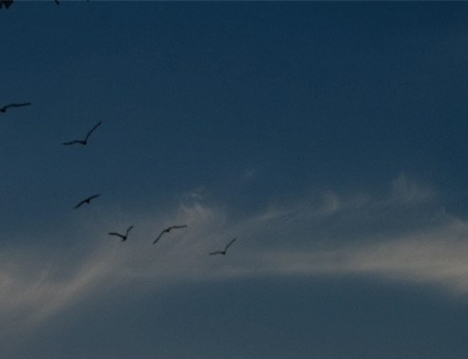 粉象生活优惠券真的便宜吗