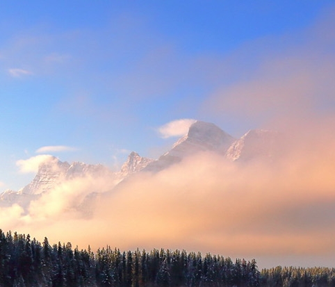粉象生活官方客服