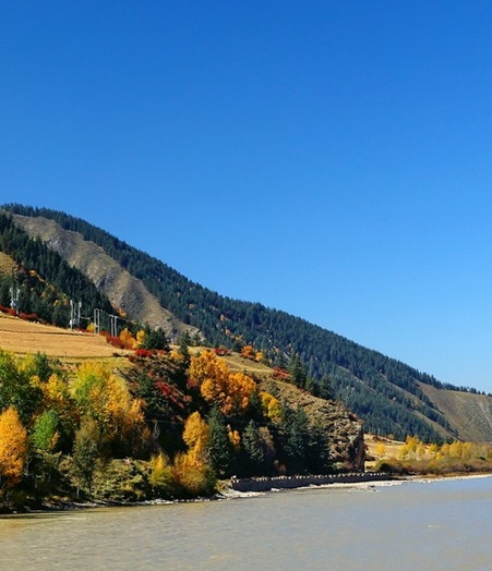 江苏运营粉象生活app