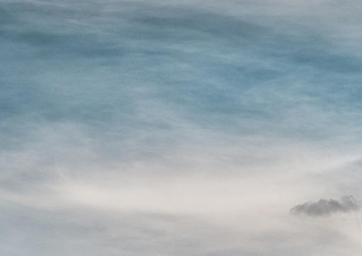 粉象生活 买手妈妈