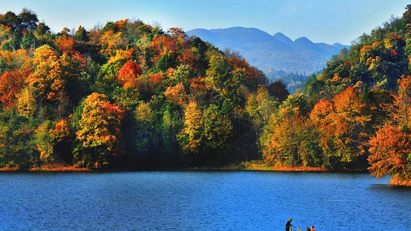 粉象生活和高省哪个更好