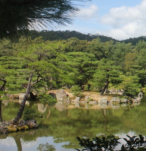 粉象生活总部官网粉象生活