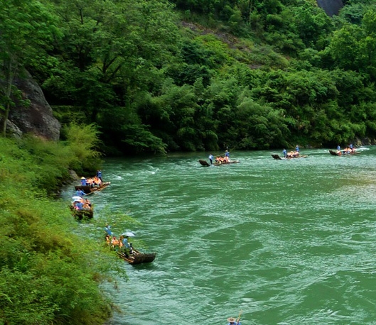 粉象生活内部课程