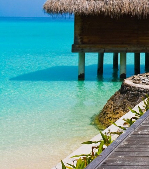 粉象生活创新吗