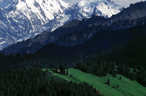 粉象生活价格对比