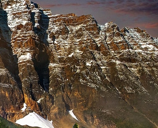 粉象生活邀请码