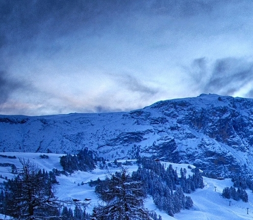 广东粉象生活合伙人