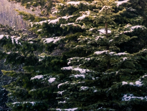 粉象生活淘宝上的靠谱吗