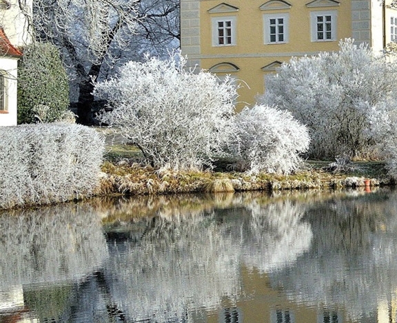 粉象生活如何开通原创店铺