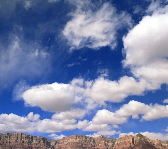 粉象生活怎么注册送东西