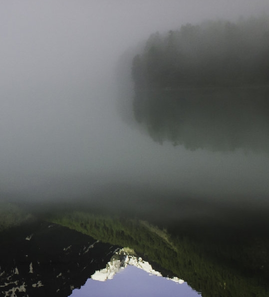 粉象生活未结算收益怎么提现