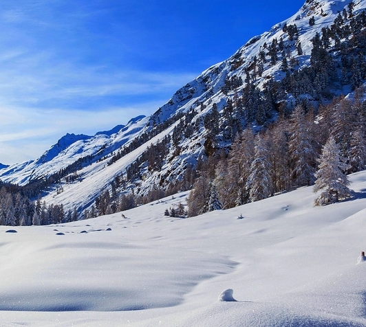 粉象生活怎么赚钱教程