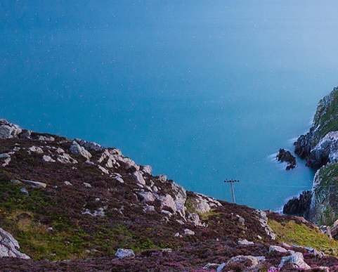 粉象生活能赚钱吗