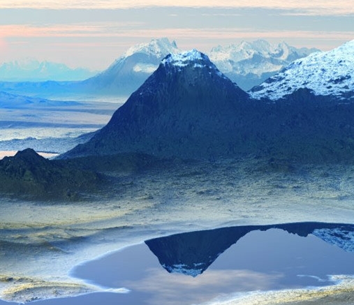 聊城粉象生活佣金