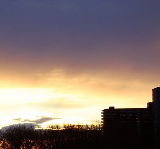 运营粉象生活软件