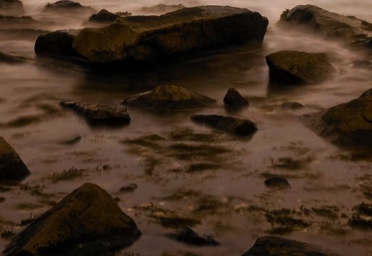 温州正规粉象生活市场前景