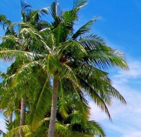 粉象生活可以赚钱吗