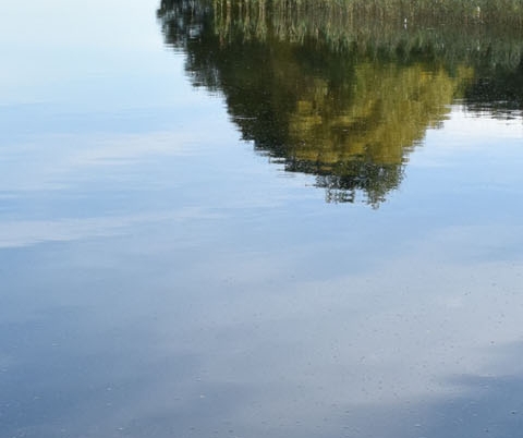 广东粉象生活赚钱
