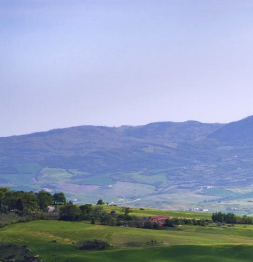 泰国粉象博物馆简介
