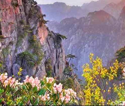 济南粉象生活邀请码