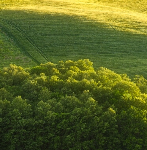 粉象苹果手机下载安装