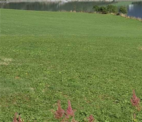 粉象生活公司电话粉象生活