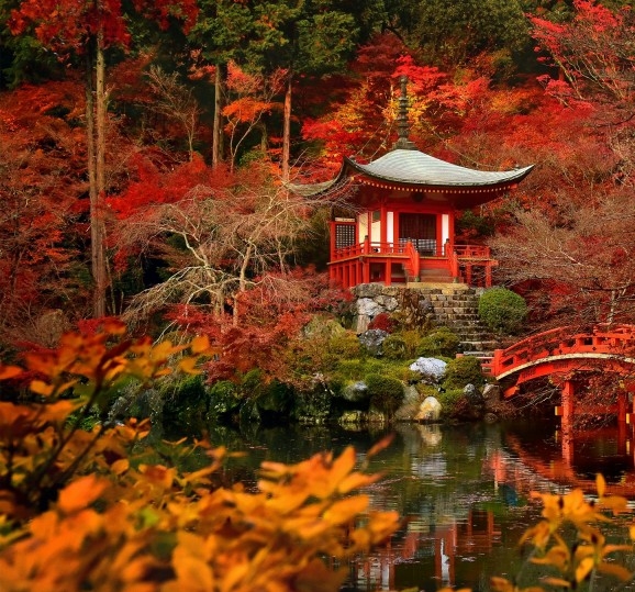 粉象生活直播会