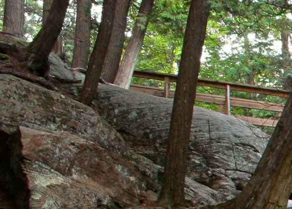 粉象生活粉丝怎么增加