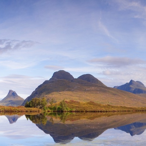 粉象生活升级制度