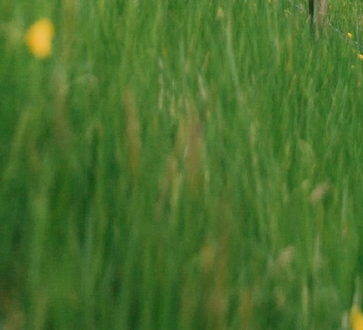 粉象生活能赚到钱吗