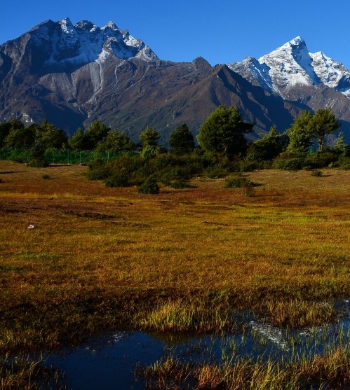粉象生活怎么赚钱