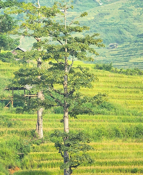 粉象生活如何找优惠券