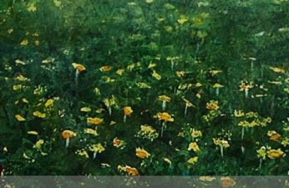 肇庆粉象生活电话