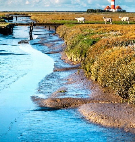 粉象生活是个什么意思