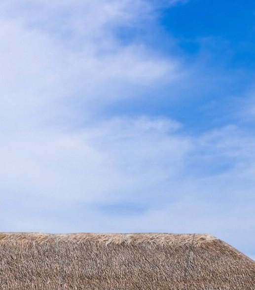 粉象生活是什么?