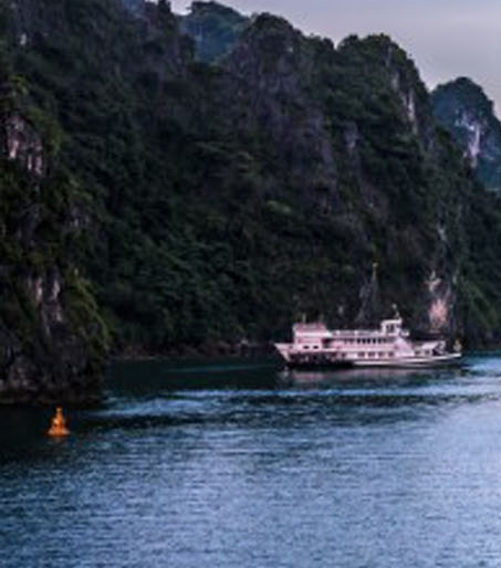 粉象生活能赚到钱吗