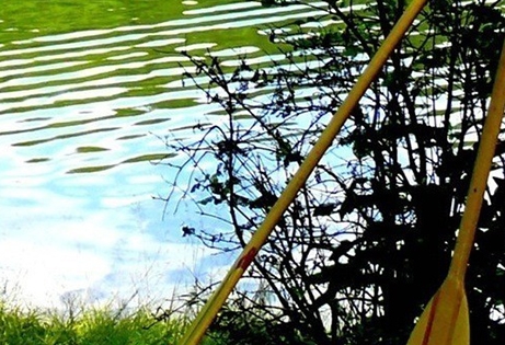 茂名粉象生活如何使用