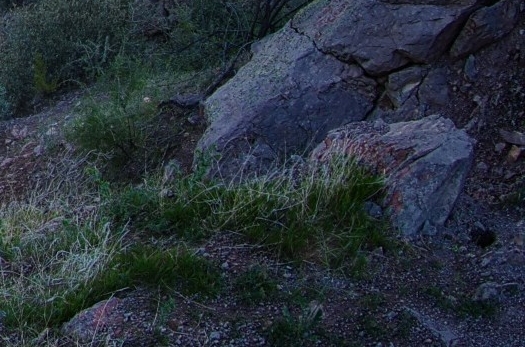 粉象生活新人一天赚多少了钱