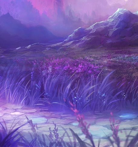 在哪里找到粉象生活邀请码