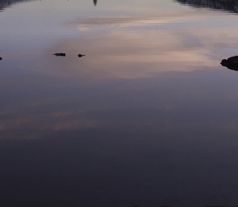 粉象生活的优势劣势