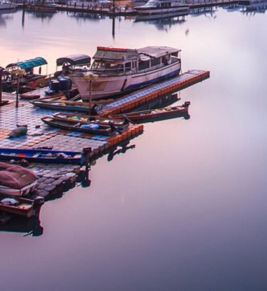 粉象生活瓜分奖金