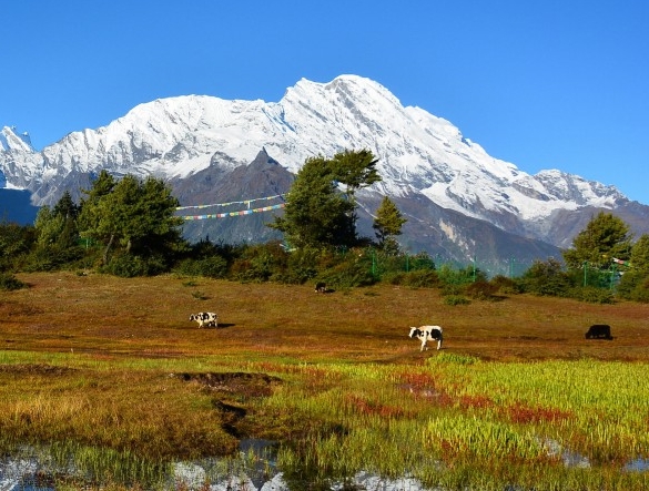 粉象怎么重新注册