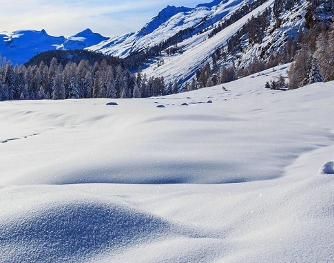 粉象生活怎么用