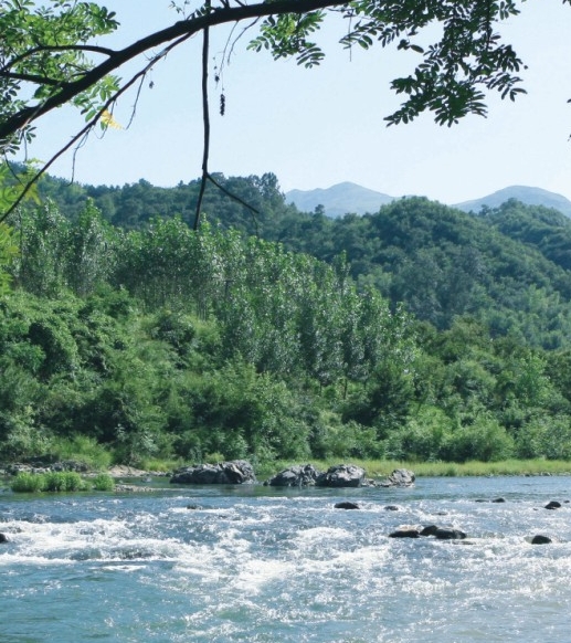 粉象生活邀请码