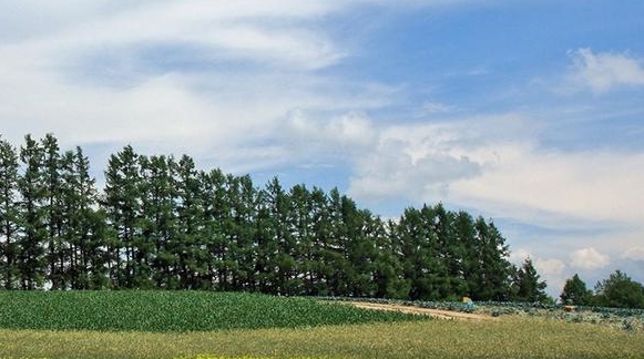 粉象生活可以更换邀请人吗